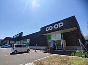 コープさっぽろとんでん店 334m