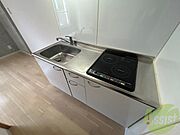 洗い場が大きくて洗い物もしやすそうです。