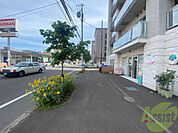 前面道路、建物周り等