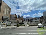 眺望です。陽当たりもよく風通しも良さそう。