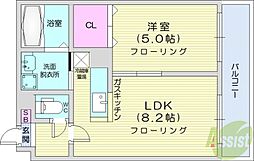 カルディーノN30 1LDKの間取図画像