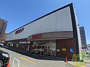 東光ストア西線6条店 309m