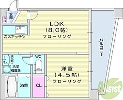 シティテラス南5条 1LDKの間取図画像
