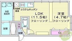 DIOGRACIA北大前 1LDKの間取図画像