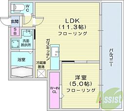 Lienマルヤマ 1LDKの間取図画像