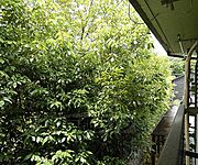 室外風景です。