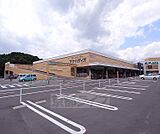 アヤハディオ 城陽店まで1363m