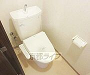 綺麗です