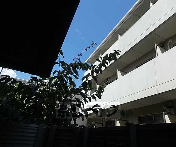 コート学林 102｜京都府京都市下京区学林町(賃貸マンション2LDK・1階・74.00㎡)の写真 その15