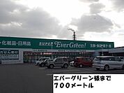 ドラッグストア 「エバーグリーン様まで700m」