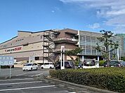 複合モール「パームシティ和歌山店様まで900m」