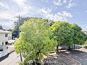 木々の緑がまぶしい、豊かな緑と静寂。ずっと見ていたいと思わせてくれる景色。