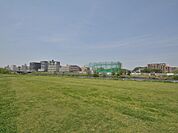 広さ約14000平方メートルの青々とした草が生い茂るスペースは、軽い運動などで汗を流すのにぴったり。