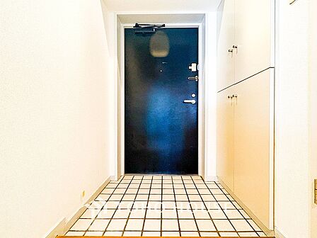 居住者の帰り、訪れる方を優しく迎えてくれる玄関です。