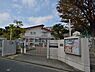 周辺：幼稚園のような広い園庭と木立が印象的な保育園。