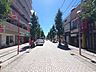 周辺：ハッピーロード（尾山台商店街）まで（300m）