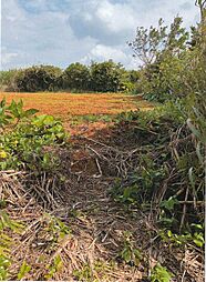 物件画像 徳之島町諸田