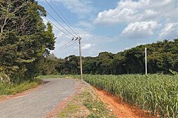 物件画像 徳之島町井之川松山