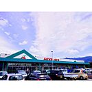 スーパー「A・コープ松代店まで1645ｍ」