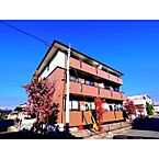 長野県長野市稲里町中央4丁目：物件画像／株式会社チンタイバンク　ミニミニFC長野篠ノ井店