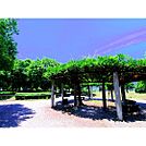 公園「御厨公園まで1420ｍ」