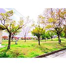 公園「三本柳中央公園まで640ｍ」