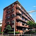 エクロール蓮根