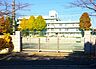 周辺：さいたま市立仲町小学校（1157m）