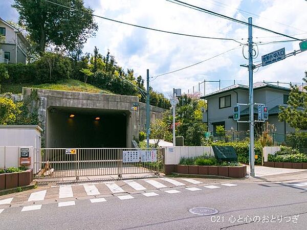 周辺を拡大表示