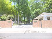 滋賀大学教育学部まで170メートル