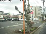 コンビニ「セブンイレブンまで250m」
