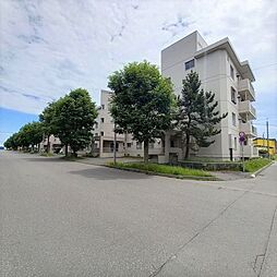 物件画像 日欧パーク元中野Ａ棟105号室リフォーム済み