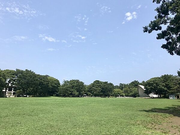 周辺を拡大表示