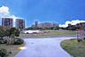 周辺：アイランドシティ中央公園