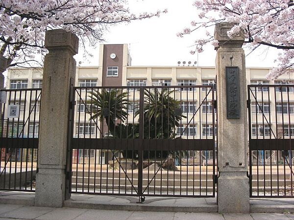 画像16:神戸市立雲中小学校