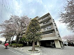 物件画像 グラン津田沼ヒルズ