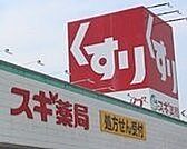 スギ薬局　幡豆店 1790m