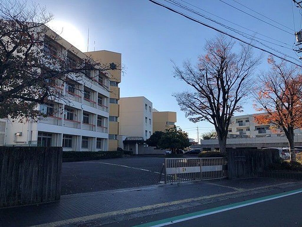 Image 12