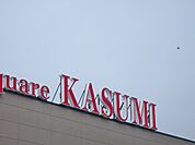 カスミ三和店 825m