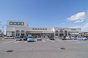 ジャパンミート卸売市場古河店 411m