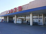 カスミ古河諸川店 1115m