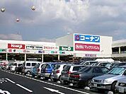 ホームセンターコーナン南十番町店（587m）