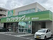 Zipドラッグ白沢権現通店（393m）