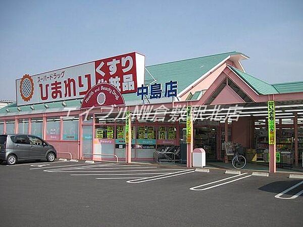画像23:スーパードラッグひまわり中島店 731m