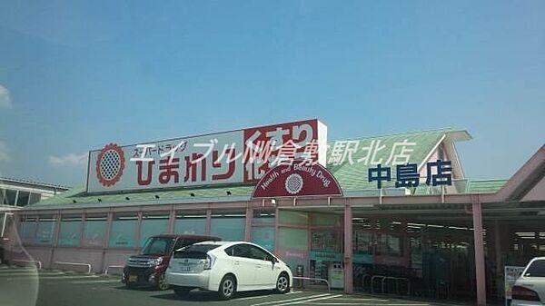 画像23:スーパードラッグひまわり中島店 970m