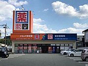 ドラッグ新生堂 五条店（818m）
