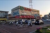 コノミヤ高槻西冠店 417m