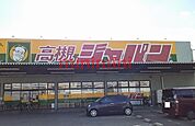 ジャパン 650m