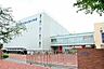 周辺：周辺環境-小学校(550m)富士見小学校