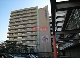 アピール深川 201 ｜ 東京都江東区福住１丁目7-12（賃貸マンション1R・2階・26.73㎡） その24